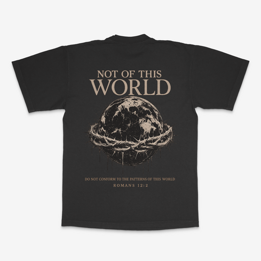 Not of This World - Heavyweight Tee